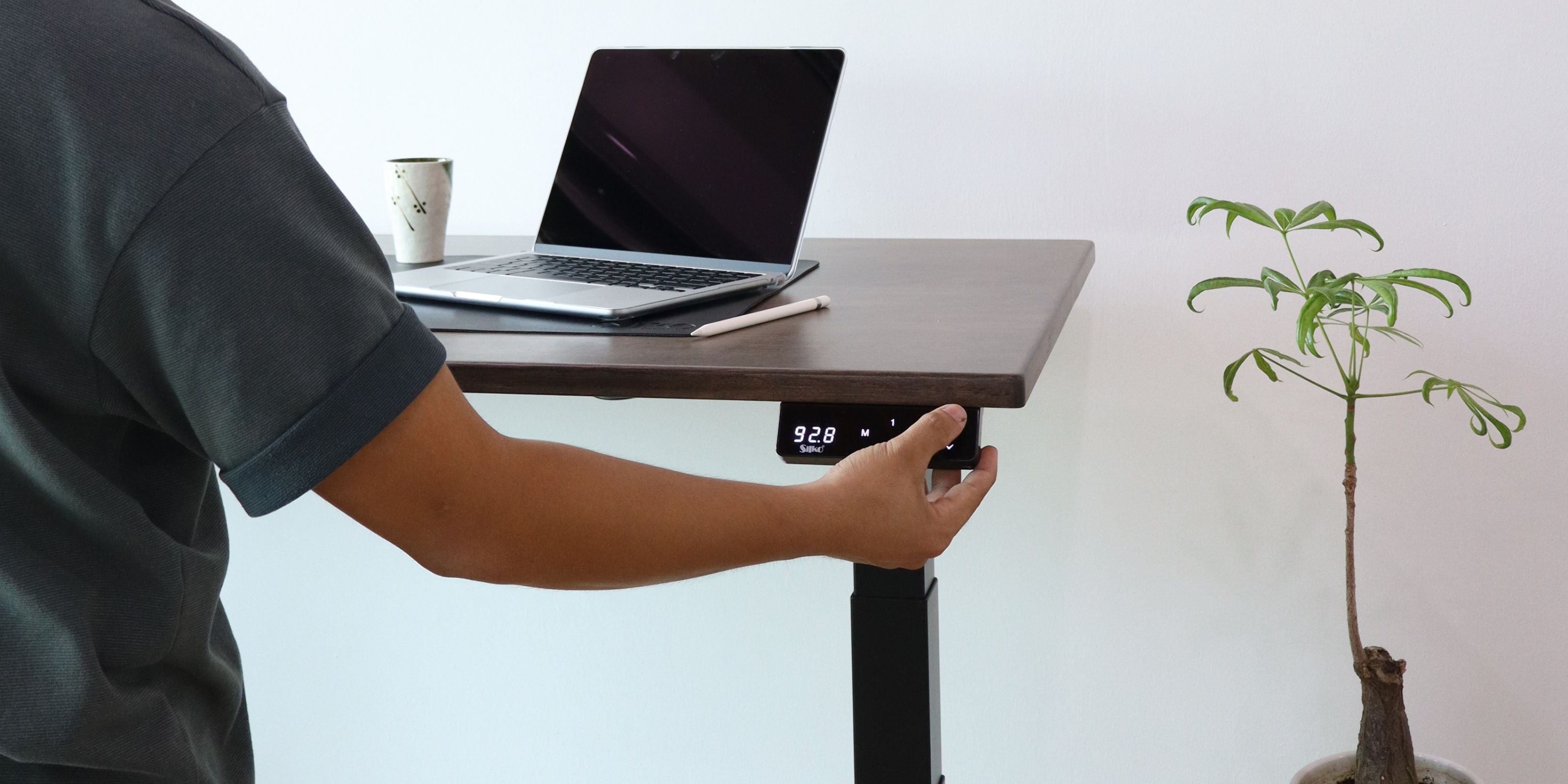 Standing Desk Control Panel