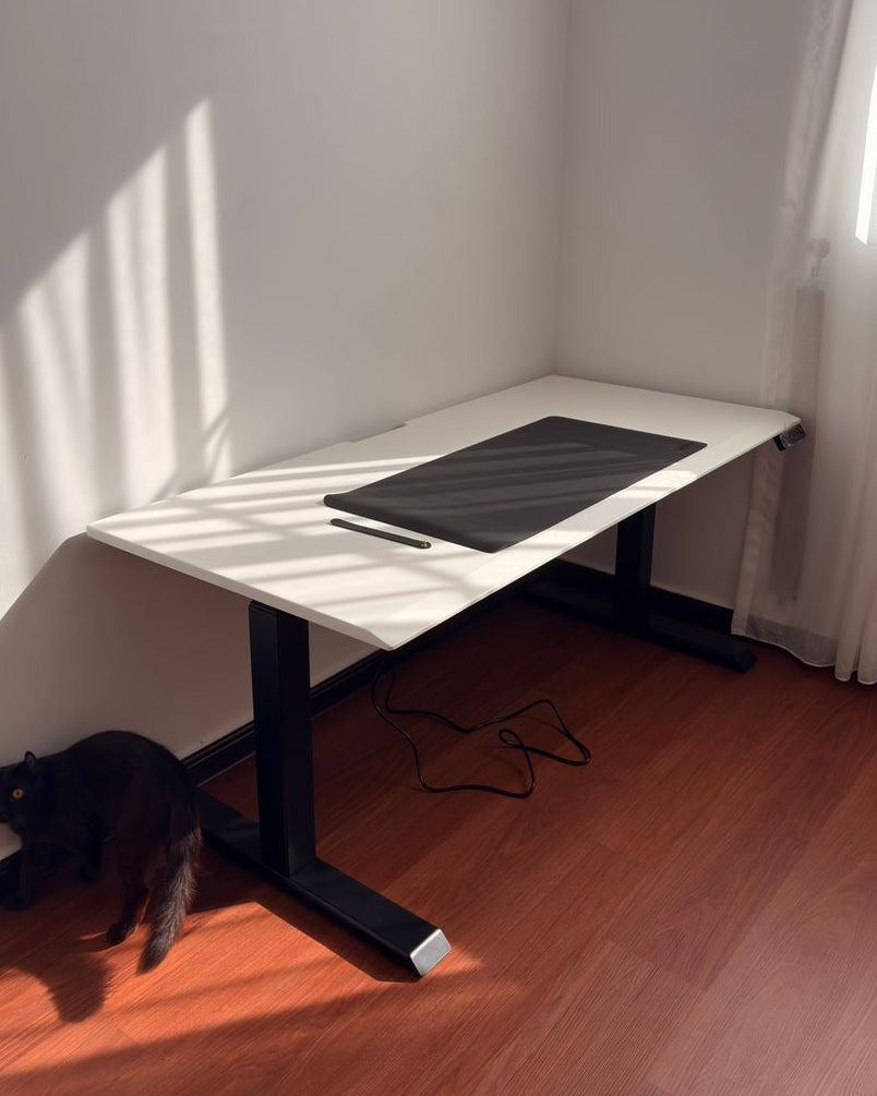 White Standing desk with a laptop on a wooden floor next to a black cat, with sunlight casting shadows.